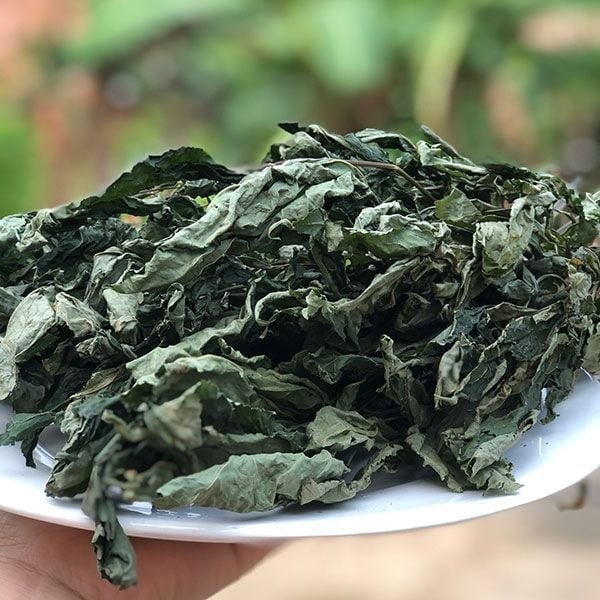 Loại lá đắt đỏ bậc nhất thế giới, 150 triệu đồng/kg, chỉ duy nhất Việt Nam sở hữu - Ảnh 7.