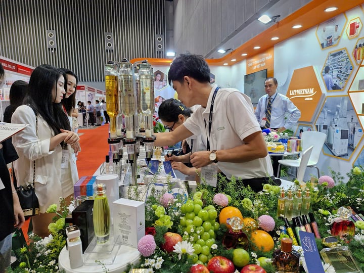 TP.HCM quyết đưa bánh trung thu 'vào khuôn phép'- Ảnh 2.