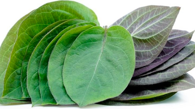 2 loại rau ít 