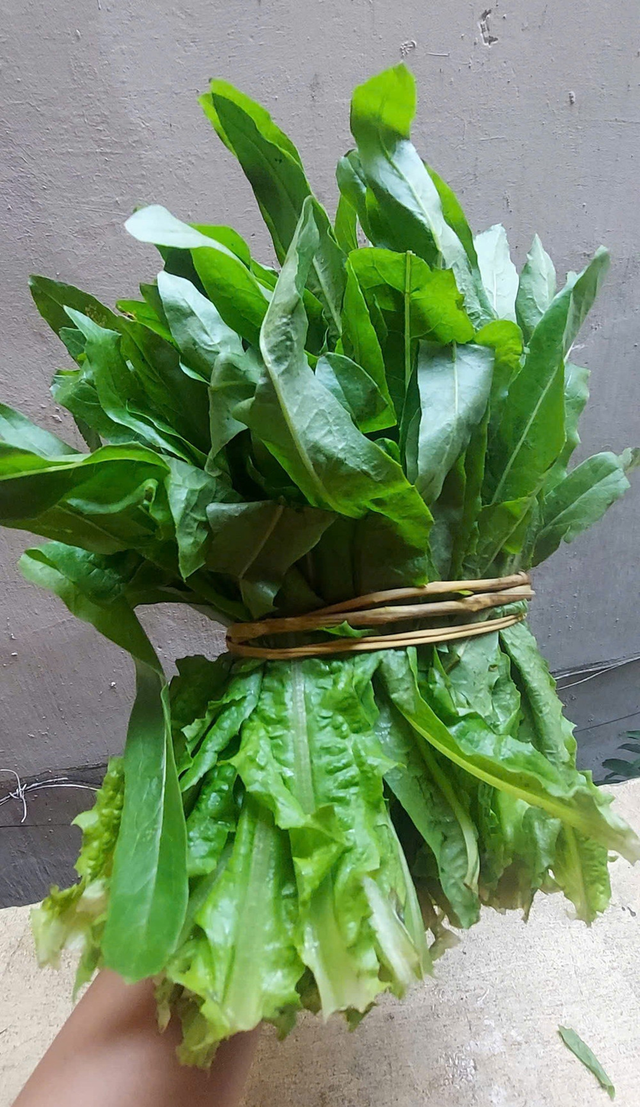 2 loại rau ít 