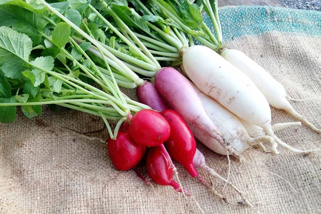 Đừng chỉ ăn củ lá loài cây này như