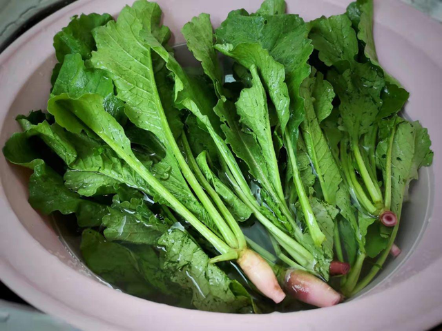 Đừng chỉ ăn củ lá loài cây này như