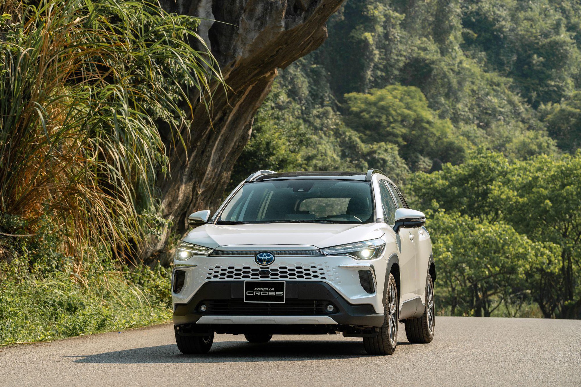 Bài toán kinh tế có lợi cho khách hàng mua xe Toyota trong tháng 3, tiết kiệm gần 70 triệu đồng - Ảnh 3.