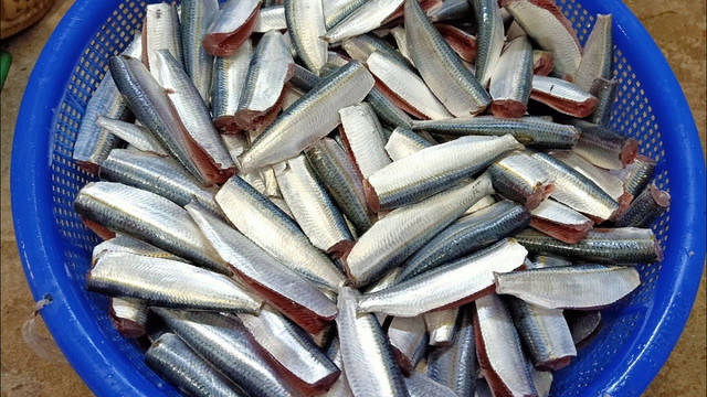 2 loại cá ít 