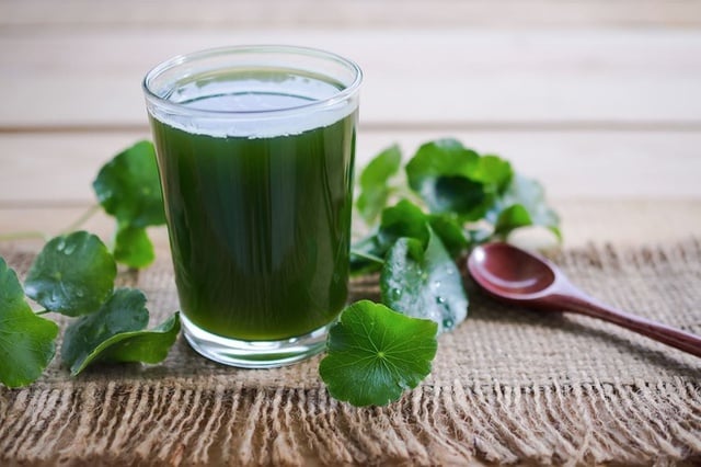 Những người không nên uống nước rau má kẻo 