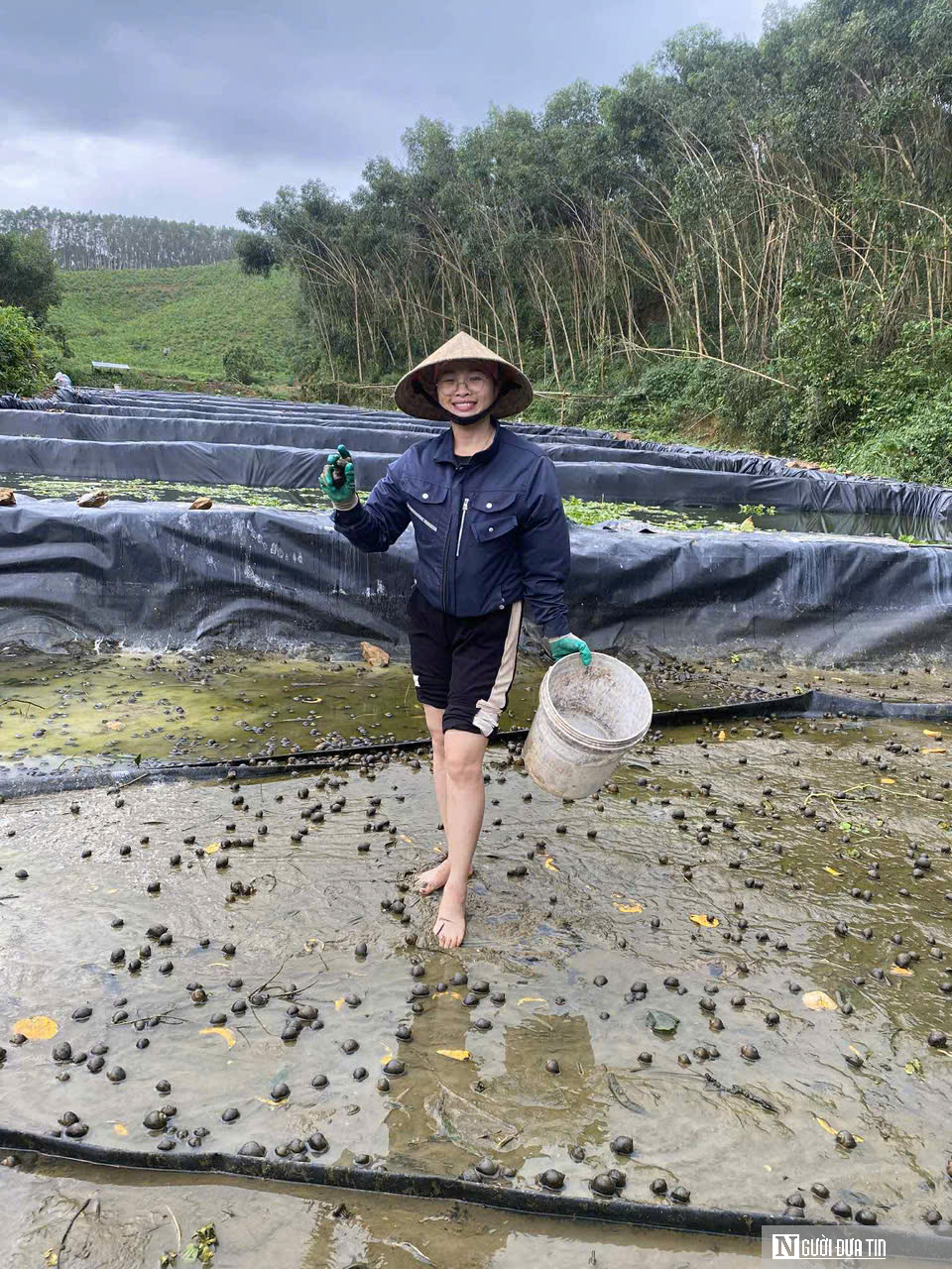 Bỏ việc lương hàng nghìn USD ở nước ngoài, anh nông dân lên khe núi nuôi con 