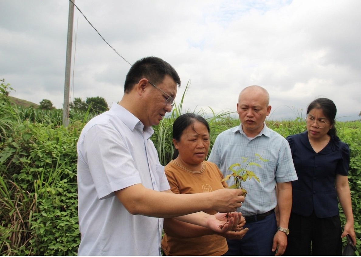 Đại hội toàn quốc Hội Nông dân Việt Nam lần thứ IX: Nông dân một xã ở Lạng Sơn học bán hàng qua zalo, làm kinh tế số