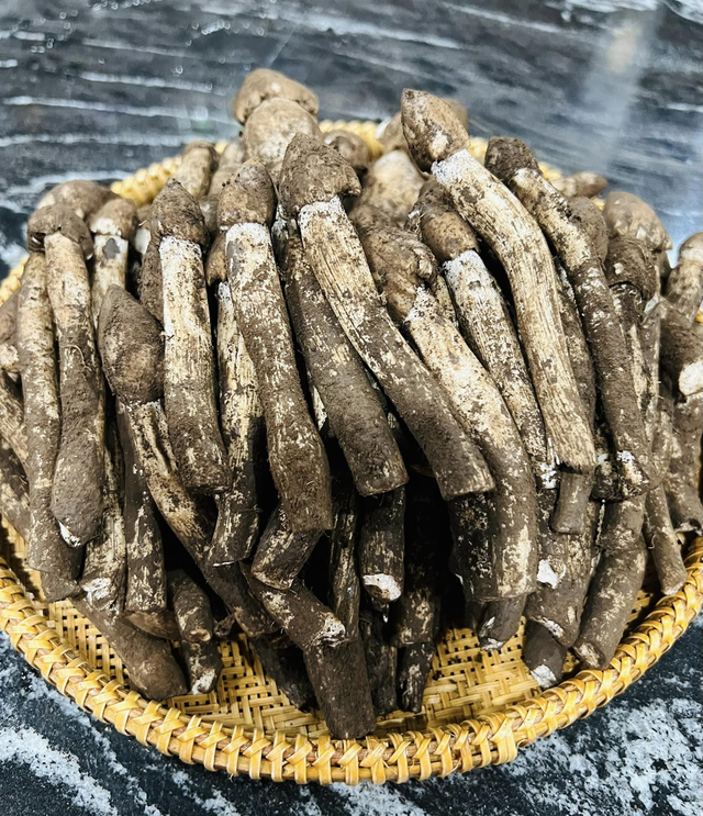 Loài cây “từ đất chui lên”, giá 1 triệu/kg vẫn khiến dân đổ xô đi tìm - Ảnh 2.