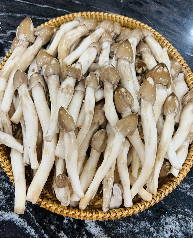 Loài cây “từ đất chui lên”, giá 1 triệu/kg vẫn khiến dân đổ xô đi tìm - Ảnh 3.