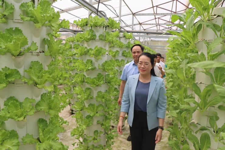 Đại hội Hội Nông dân Việt Nam lần thứ IX: Nông dân đổi mới tư duy, khơi dậy khát vọng bứt phát từ thực tiễn