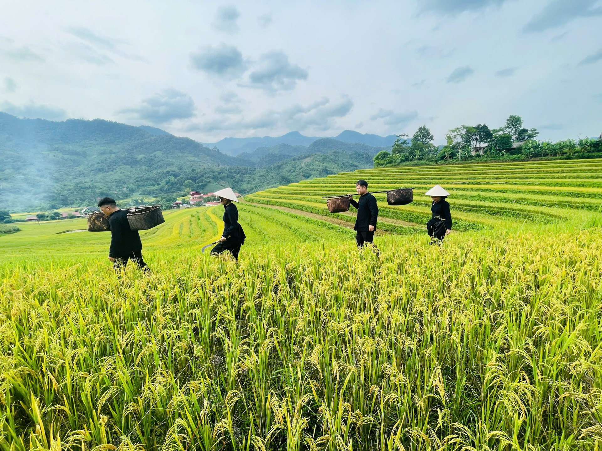 Có một 'Sa Pa' tuyệt đẹp ở Thái Nguyên, mây phủ quanh năm, ít người biết đến