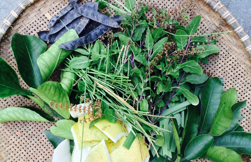 Cách phòng và chữa dị ứng thời tiết đơn giản tại nhà bằng những thảo dược “rẻ như cho”