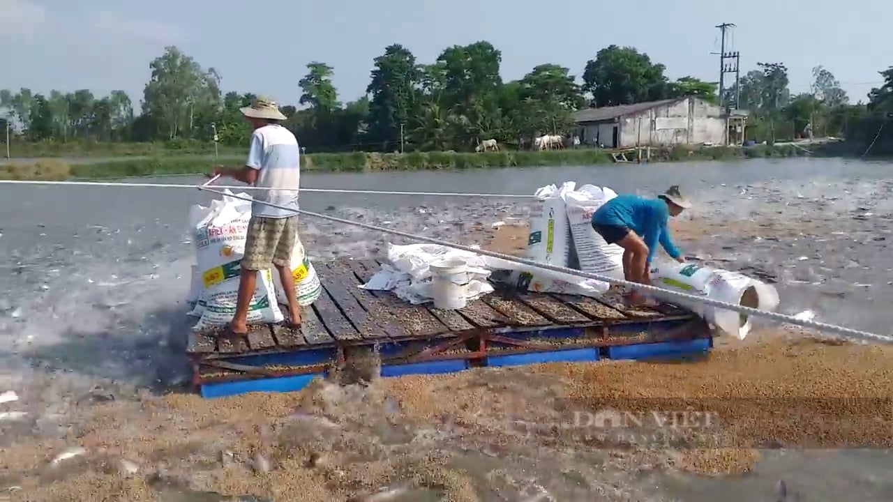 tong thong trump hoan thoi han ap thue  hang nong san duoc xuat khau binh thuong tin tuong vao su ung bien cua doanh nghiep