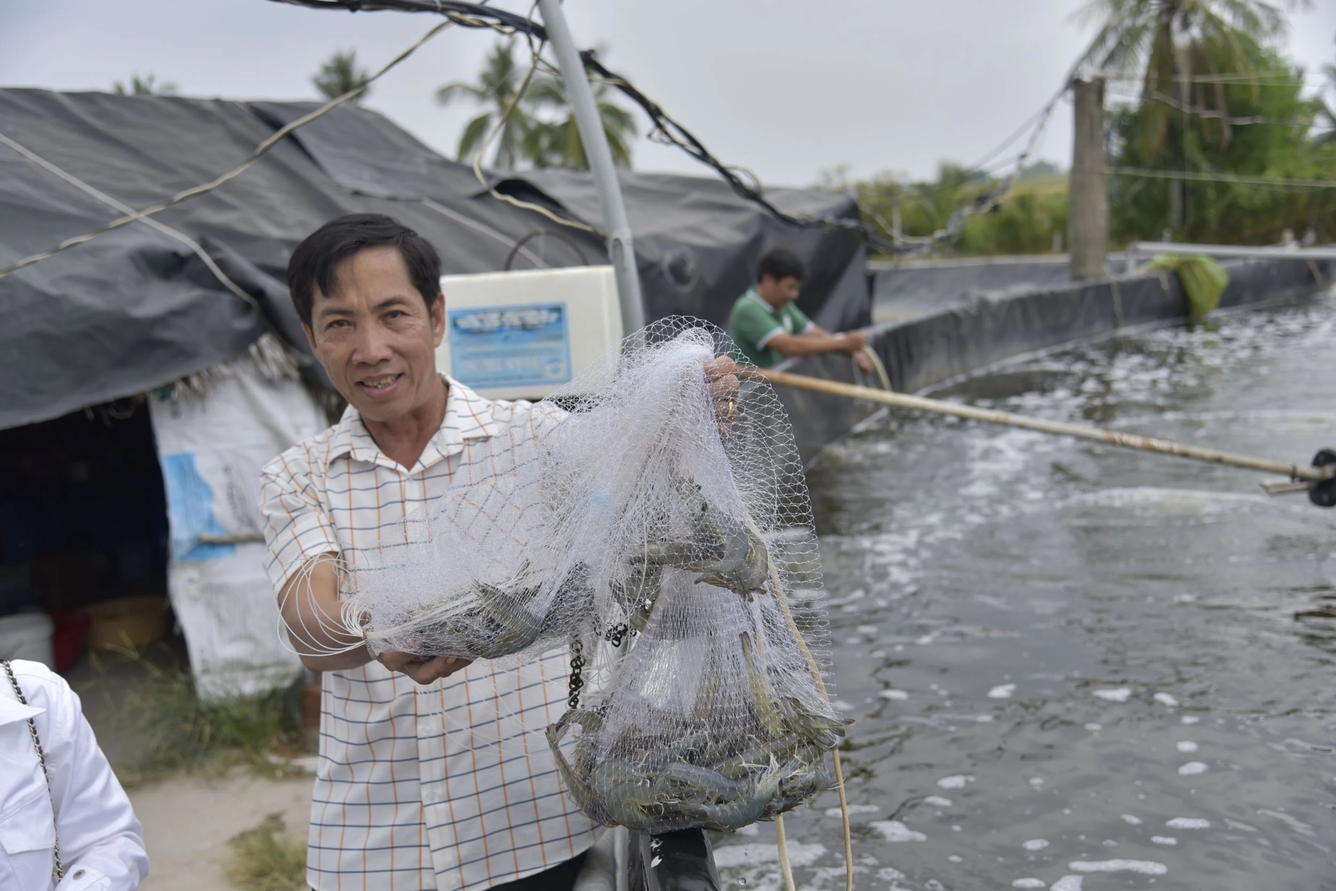 Tỷ phú Kiên Giang là ông Ba Ớt nuôi tôm công nghệ cao, lời 2 tỷ/năm, cả làng phục sát đất