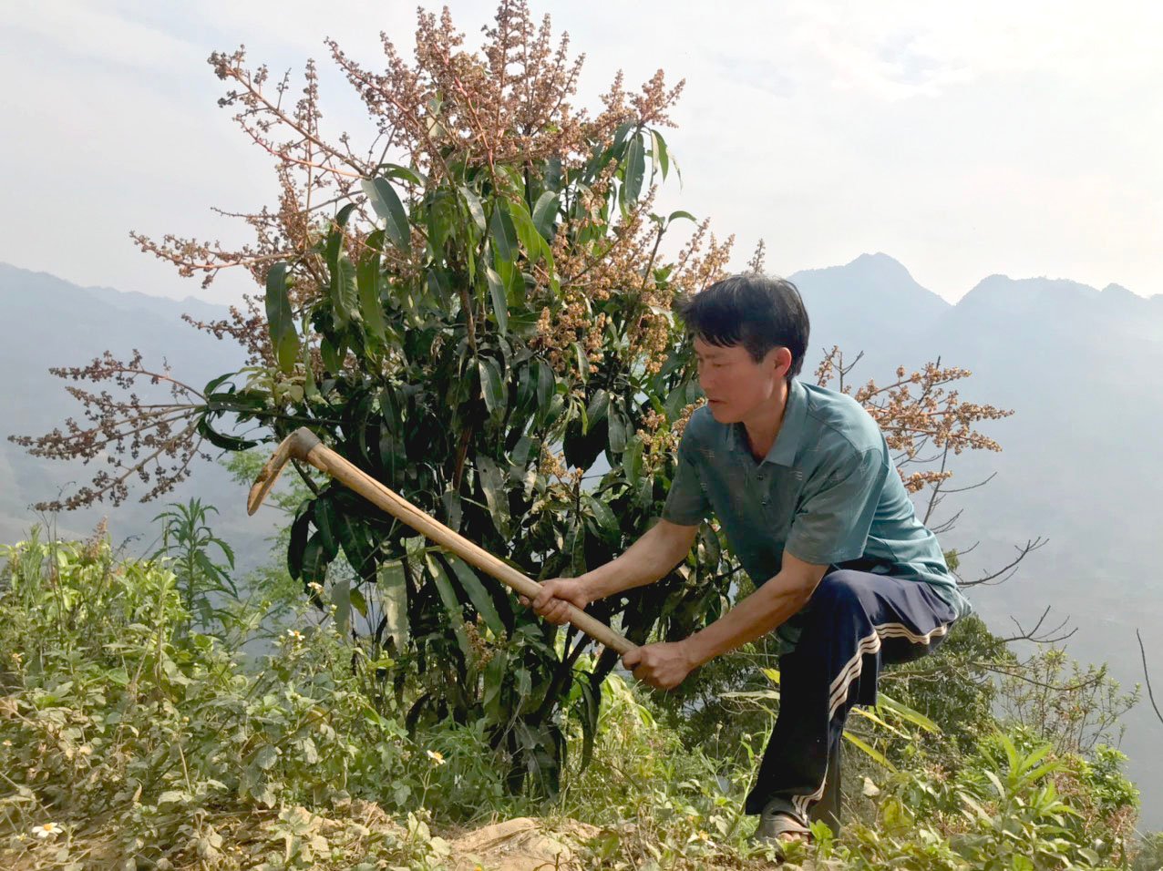 Đất cằn 'nở hoa, kết trái' nhờ Báo Dân Việt