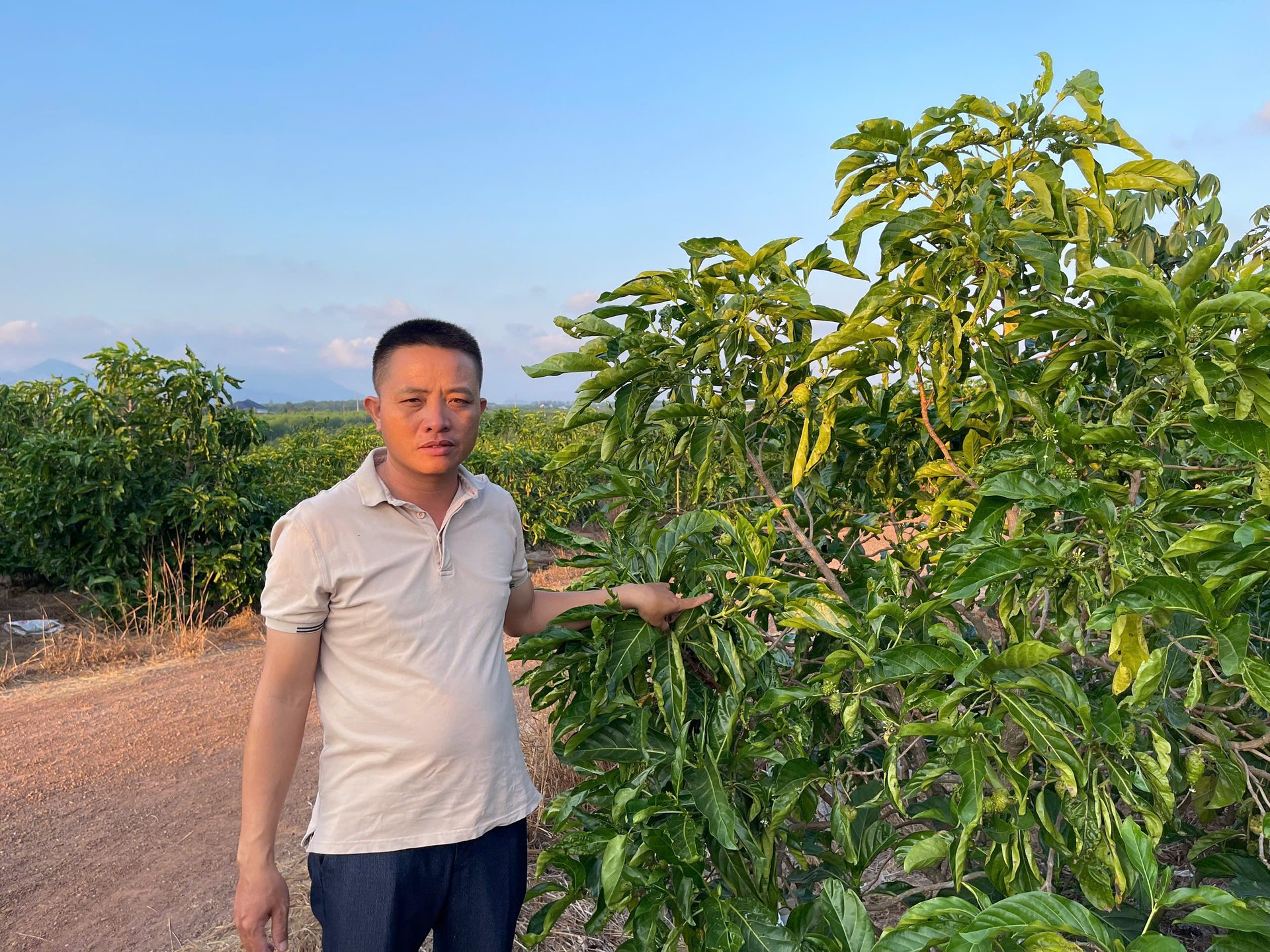 Một tỷ phú Bà Rịa-Vũng Tàu trồng loại cây gì một thời 'làm mưa làm gió' mà nay thu 15 tỷ/năm?