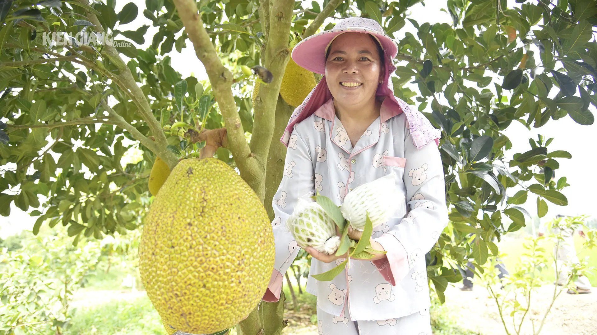 Các nhà vườn tiền tỷ báo giá sầu riêng thế nào mà giá loại quả ngon này ở Kiên Giang có 'động thái lạ'?