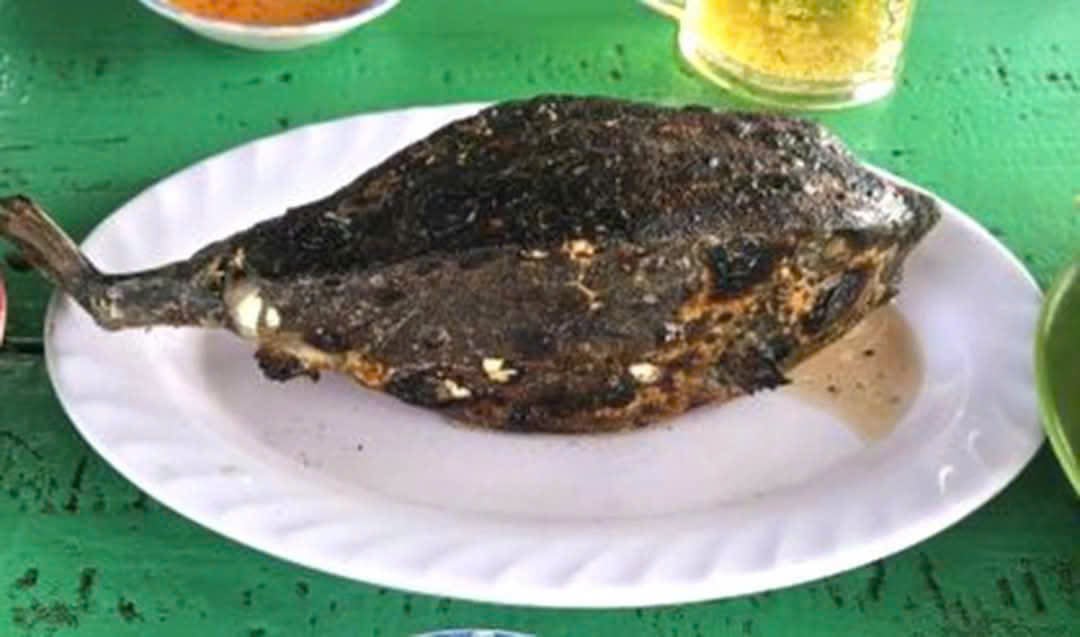 Bè nổi bán cá bò hòm với giá 3,5 triệu đồng/kg, Chủ tịch tỉnh Khánh Hòa chỉ đạo kiểm tra, xử lý