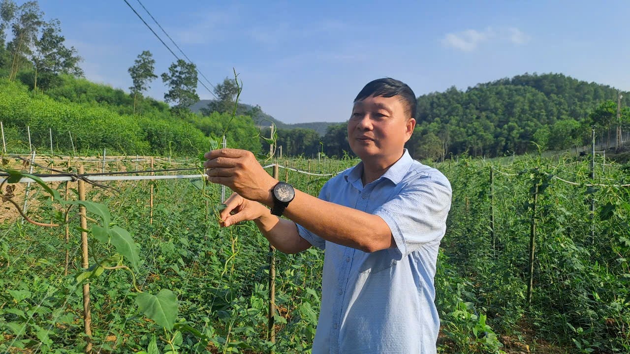 Về hưu, một cựu lãnh đạo xã ở Thái Nguyên trồng cây dược liệu mở được 'cửa' giảm nghèo cho bà con 
