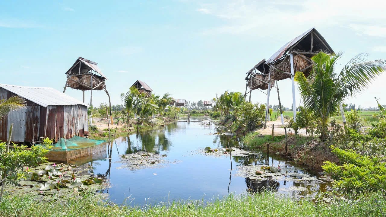 Làm chuồng kỳ lạ, nuôi con thú bay như chim hoang dã ở Kiên Giang, lạ hơn là chả phải cho ăn, chỉ hứng lấy phân