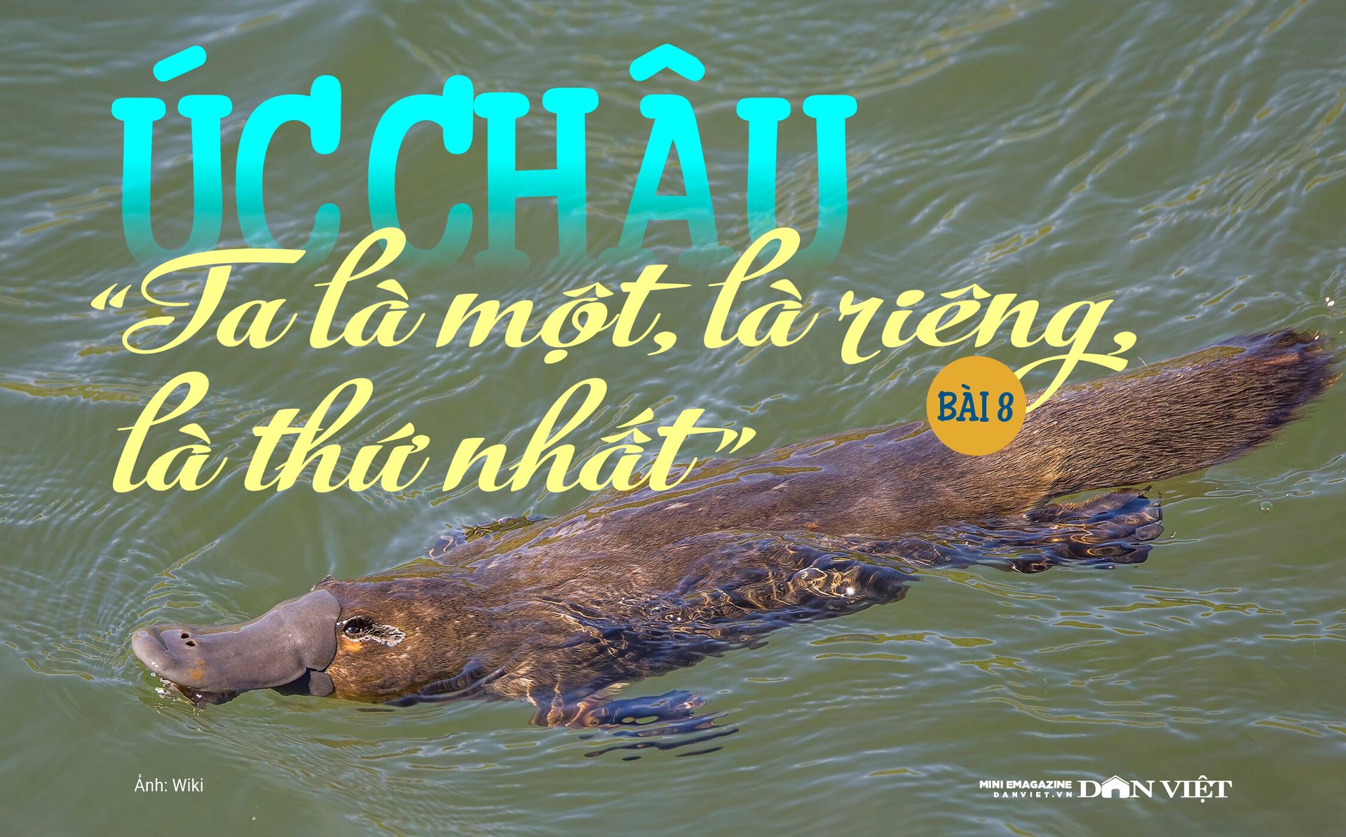 Úc châu, “Ta là một, là riêng, là thứ nhất”: “Quái thú” gây tranh cãi “sứt đầu mẻ trán” (Bài 8)