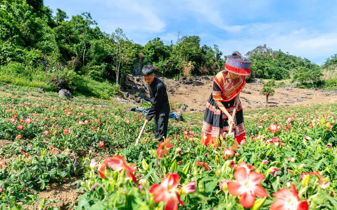 Thái Nguyên: Huyện Đồng Hỷ giảm mạnh tỷ lệ hộ nghèo, nhiều mô hình kinh tế giúp dân đổi đời