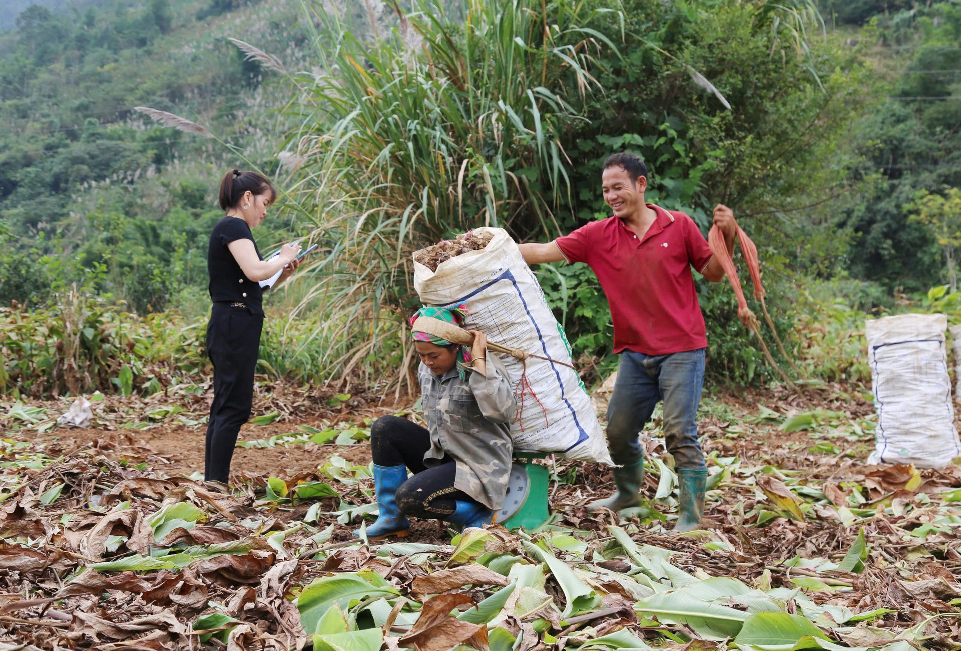 Một xã vùng thấp của tỉnh Hòa Bình, người dân trồng lúa, dong riềng, làm nghề phụ mà thoát nghèo, thu 52,4 triệu đồng/người/năm 