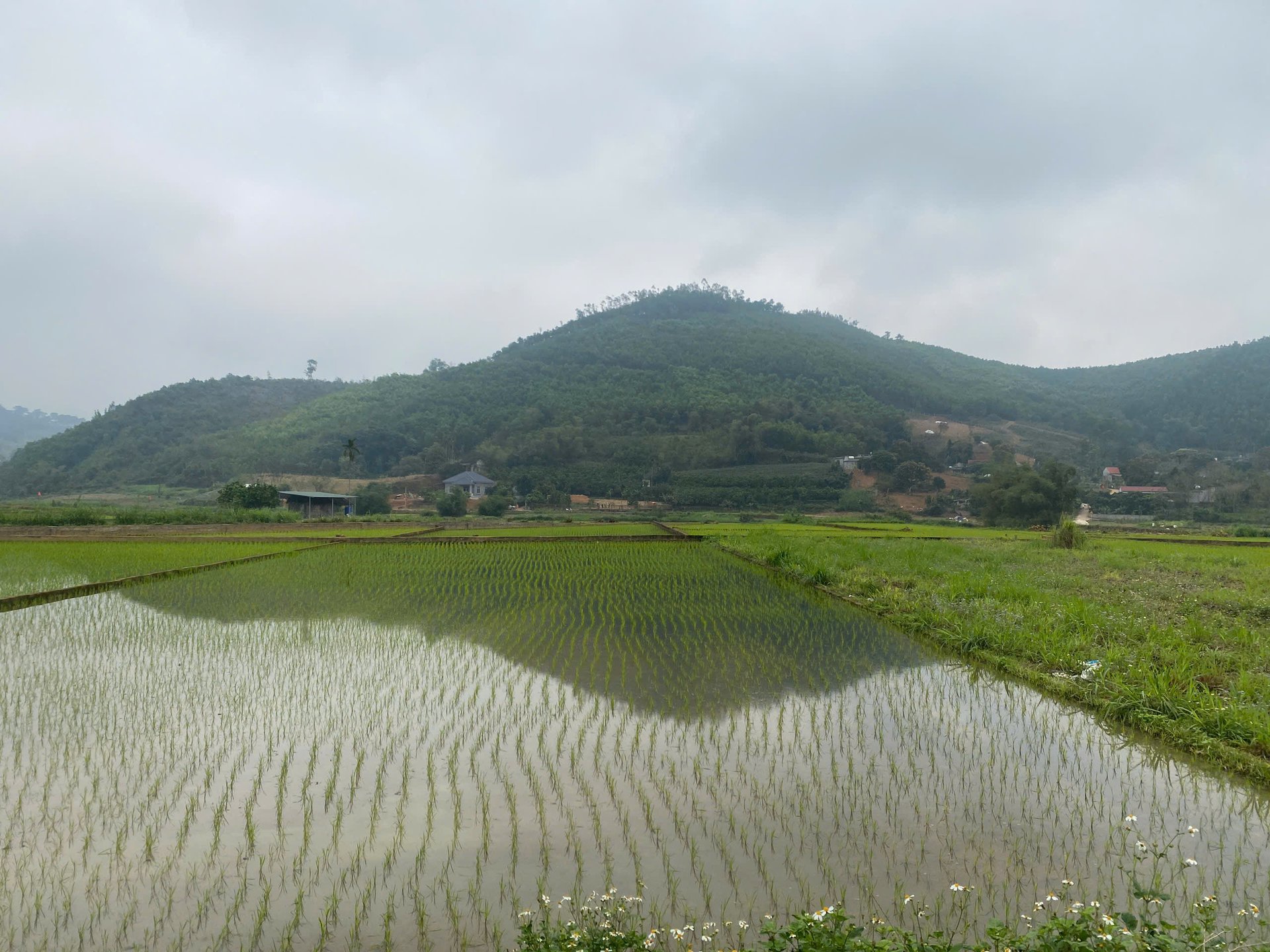 Điều kiện chuyển nhượng, tặng cho, thừa kế đất đai năm 2025