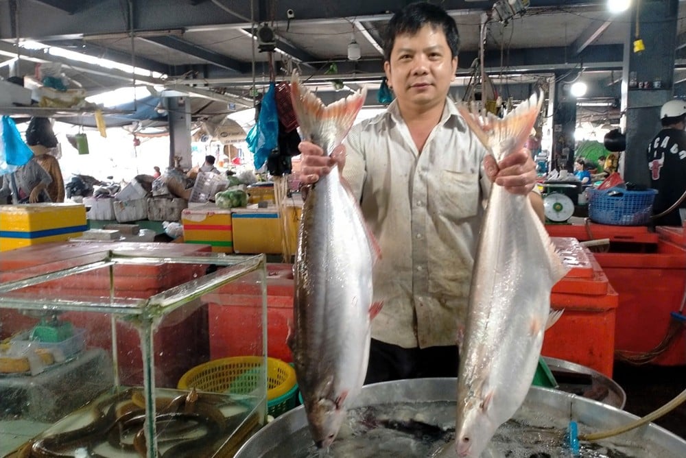 Trước giờ sáp nhập, các tỉnh ĐBSCL nuôi thành công các loại cá đặc sản, cá to bự này ở An Giang bán 350.000 đồng/kg
