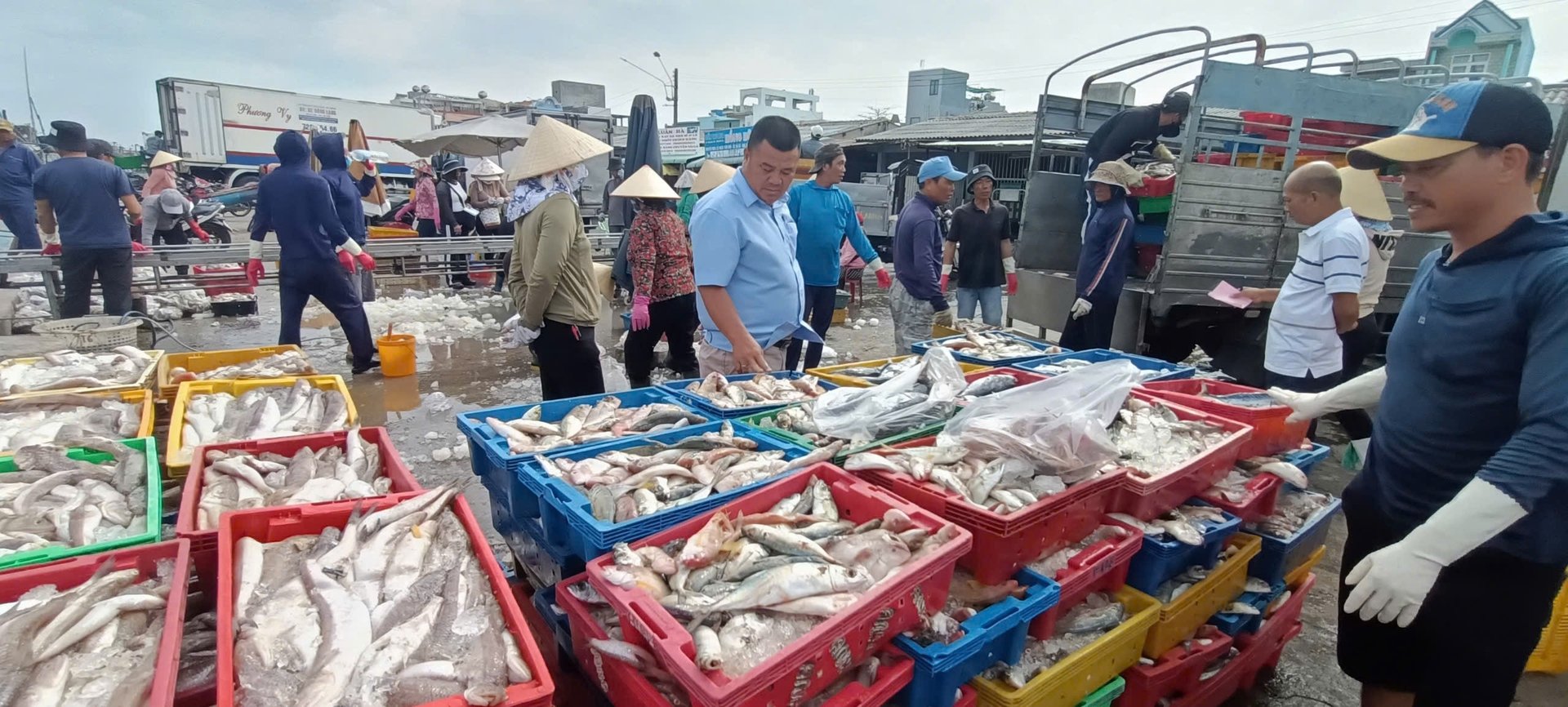 Trước ngày sáp nhập TP HCM, Bình Dương, ngành chức năng Bà Rịa-Vũng Tàu đang hỗ trợ doanh nghiệp xuất khẩu hải sản một việc quan trọng
