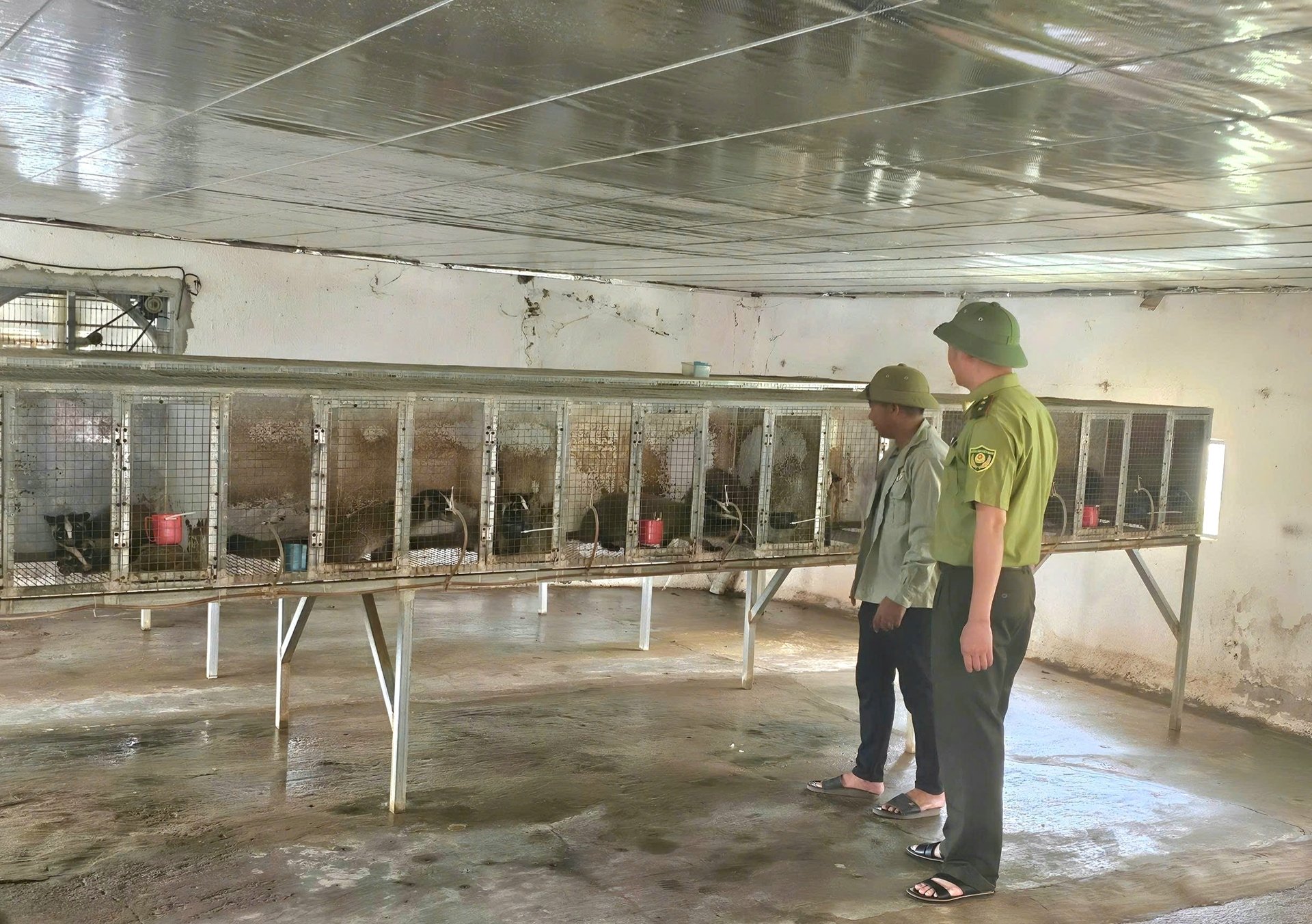 Giảm nghèo Quảng Bình: Nông dân ở huyện có diện tích lớn thứ 3 cả nước khấm khá nhờ nuôi con động vật hoang dã