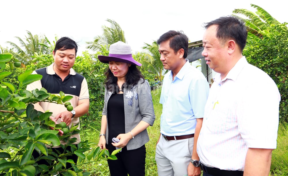 Tỉnh mới tên Vĩnh Long sau sáp nhập Trà Vinh, Bến Tre có một ấp nông thôn mới kiểu mẫu, văn minh và hiện đại thế này đây