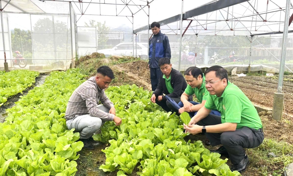 Tiến sĩ Dương Đình Đức, kiến tạo cầu nối khoa học với nhà nông ở Lai Châu, leo đồi, lội ao là bình thường