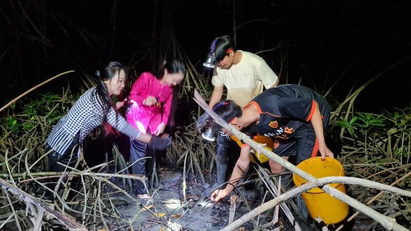 Đêm tối lội vô một khu rừng nổi tiếng Cà Mau bắt con tên mắc cười, 10 người vào 10 người vui