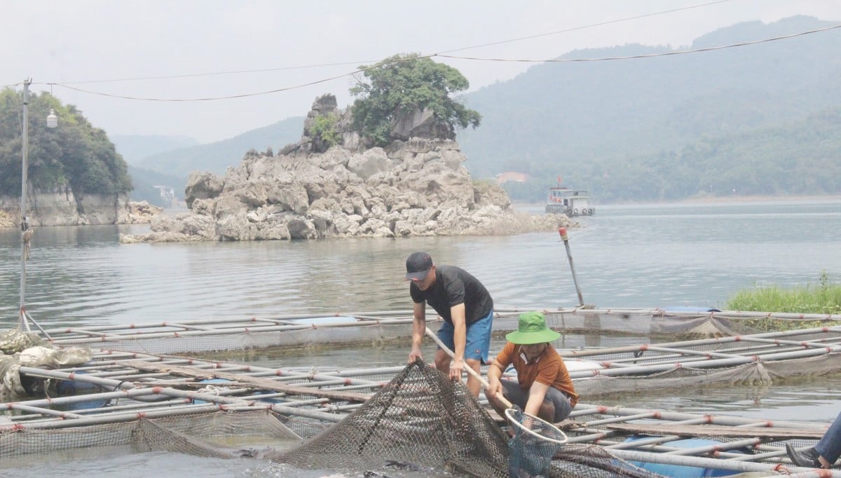 Giờ sáp nhập cận kề tỉnh Vĩnh Phúc, Phú Thọ, ở Hòa Bình “mặt nước chuyên dùng” ở Cao Phong, vùng lặng sóng hay điểm nóng quản lý?