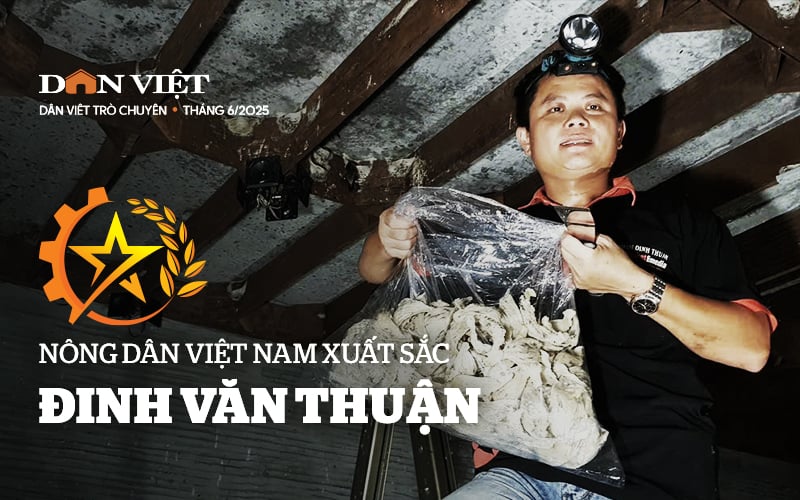 Nông dân Việt Nam xuất sắc Đinh Văn Thuận - người từ bỏ 'thế giới số' và bén duyên với đàn chim yến