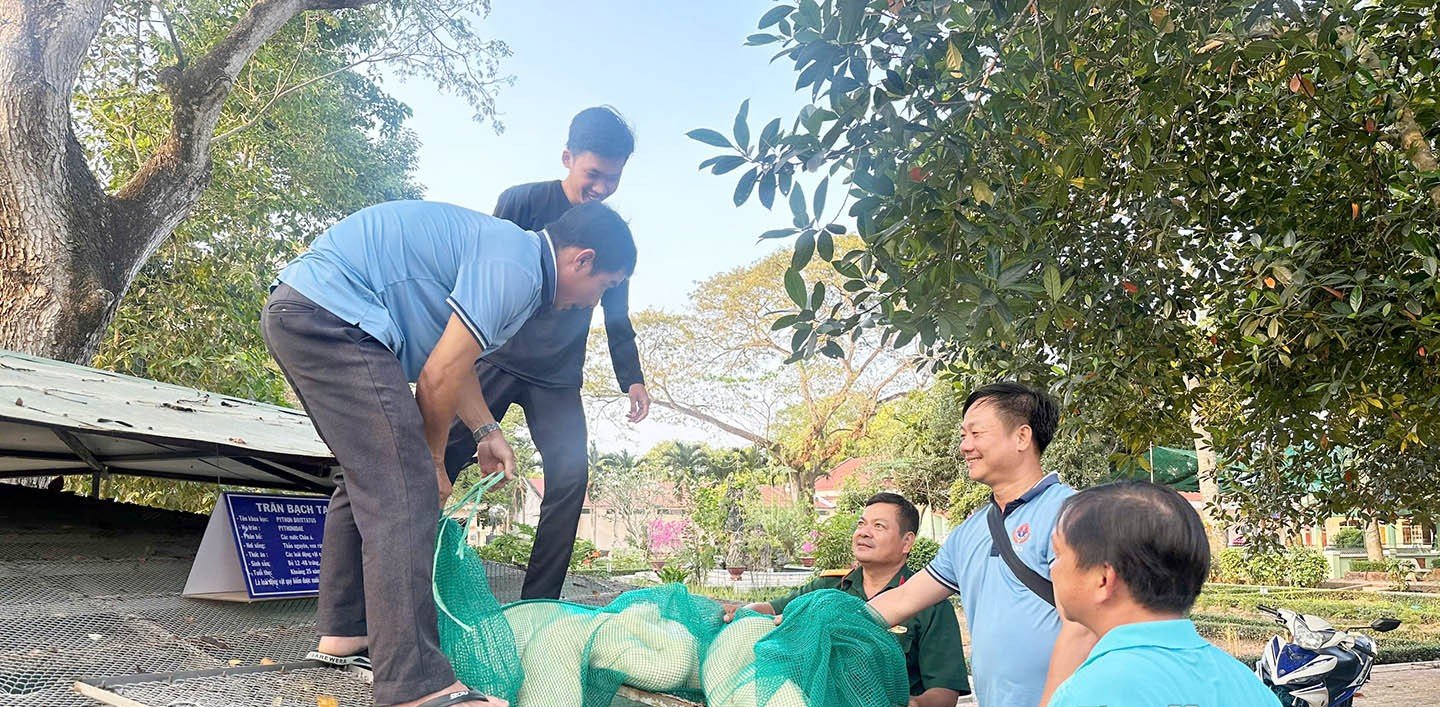 Cận kề giờ sáp nhập tỉnh Đồng Tháp, ở Tiền Giang có một con trăn to dài, người ta đến xem