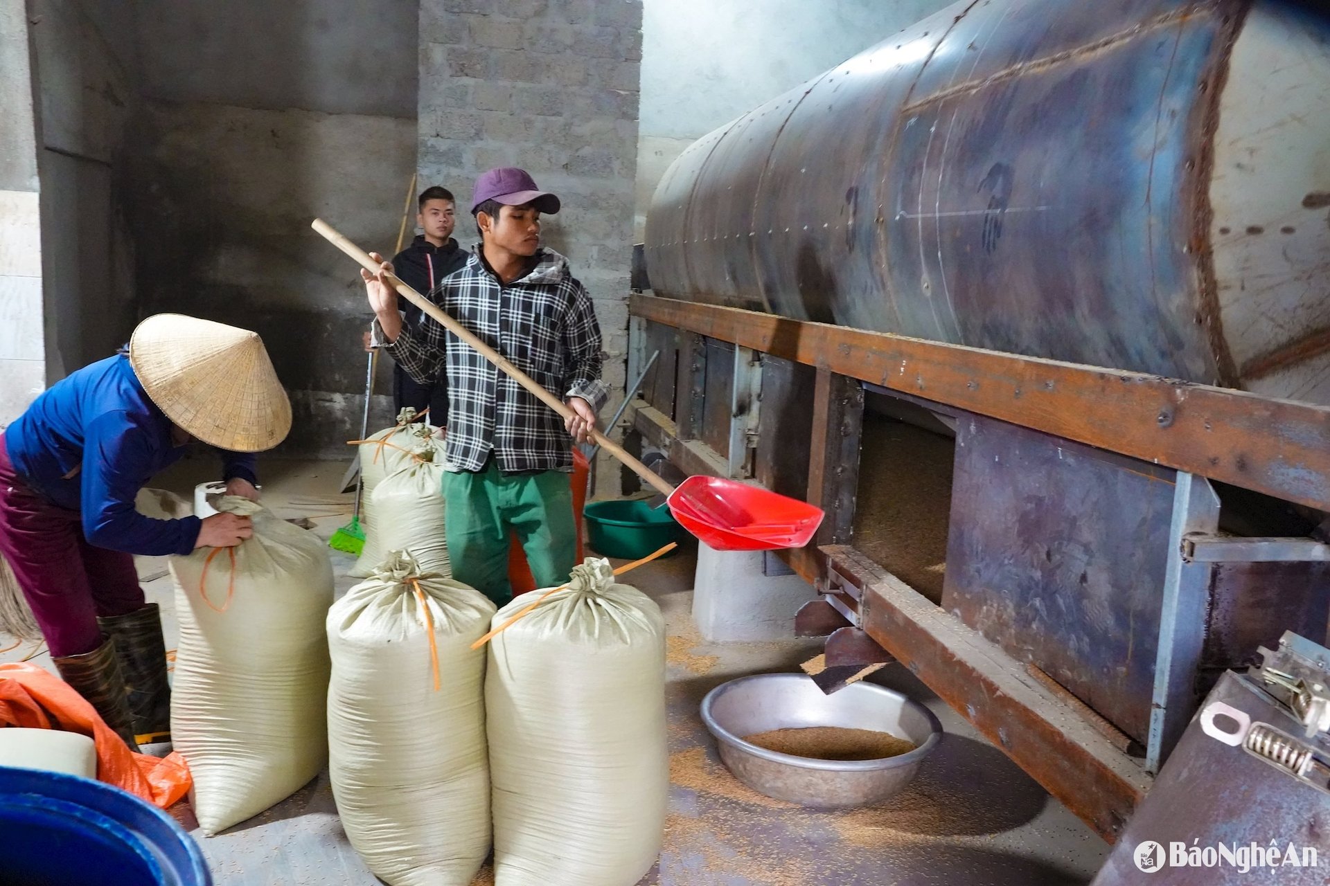 Một ông nông dân sáng chế máy sấy lúa, cả làng ở Nghệ An phục lăn