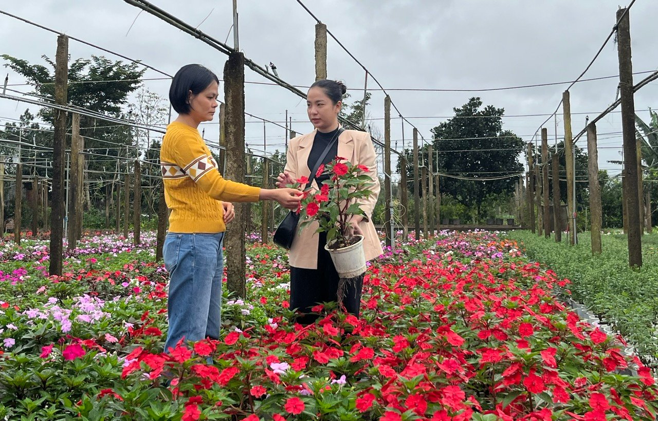 Trước ngày sáp nhập tỉnh Đắk Lắk, Phú Yên bãi bỏ một Nghị quyết 113 liên quan đến đưa trí thức trẻ về nông thôn