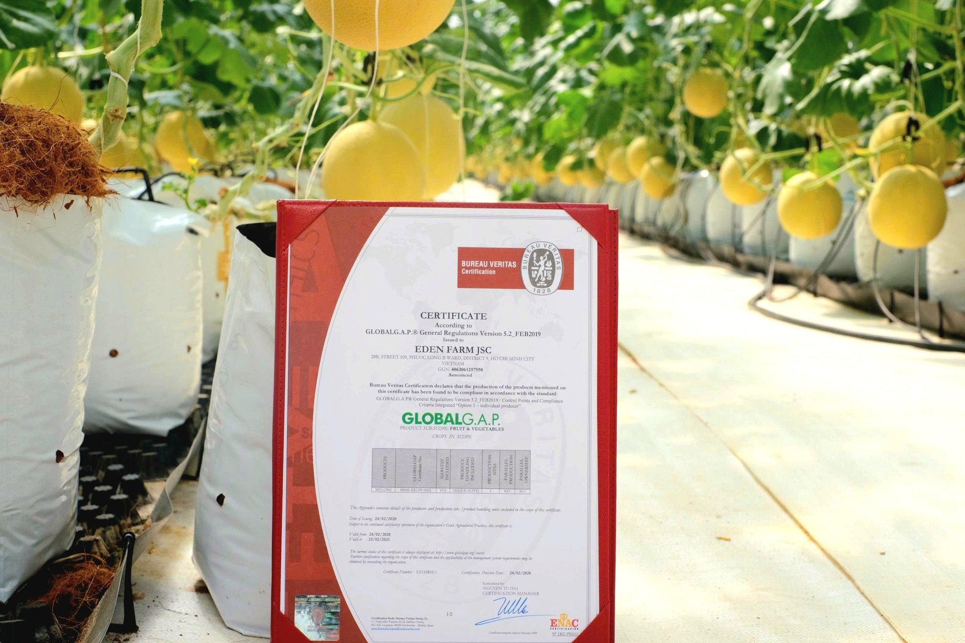 Một doanh nghiệp ở tỉnh Lâm Đồng áp dụng chuyển đổi số để nâng chuỗi giá trị nông sản Việt