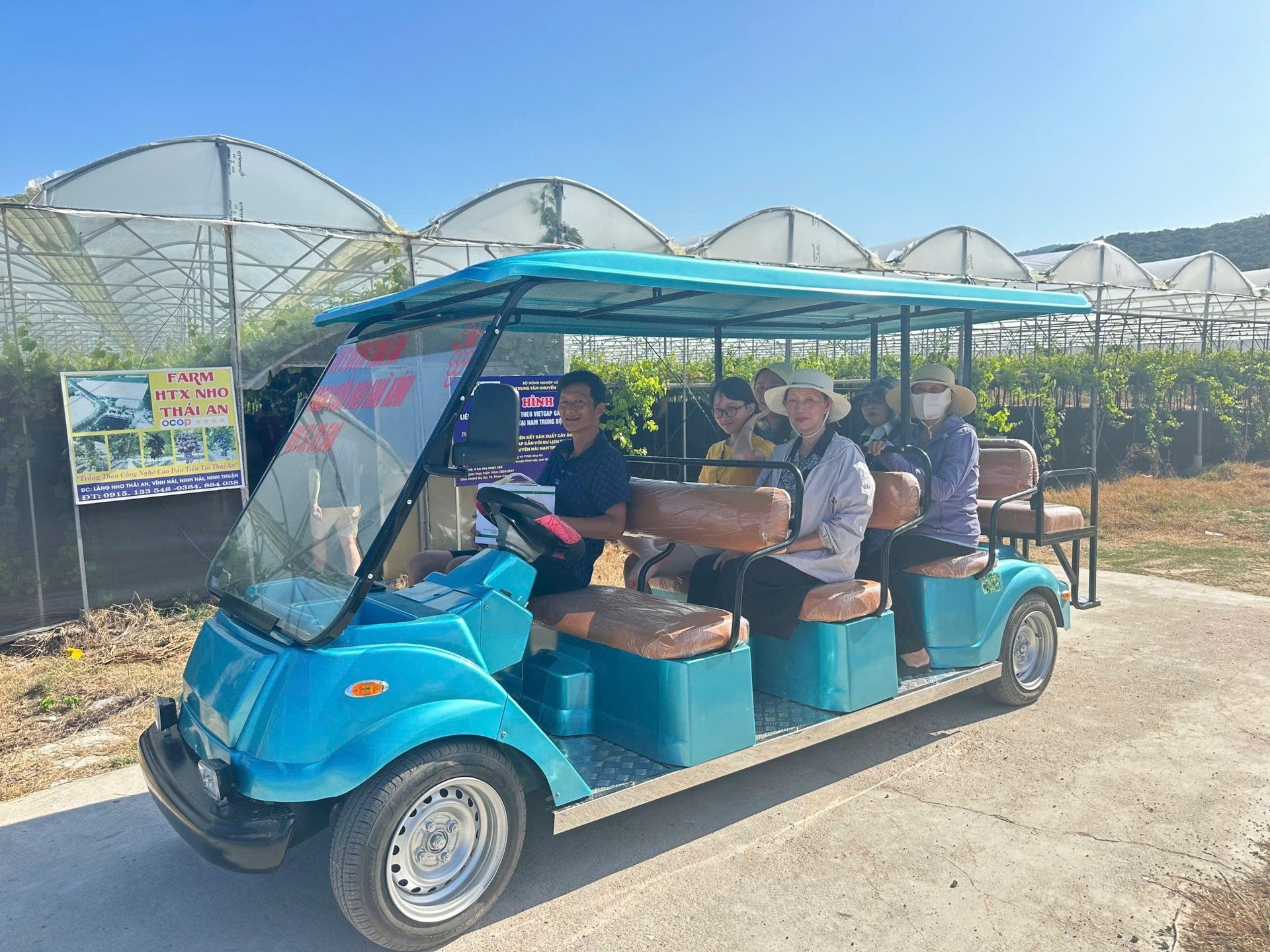 Vừa sáp nhập với Khánh Hòa, những vườn nho của tỉnh Ninh Thuận cũ đã nô nức khách đến chụp hình