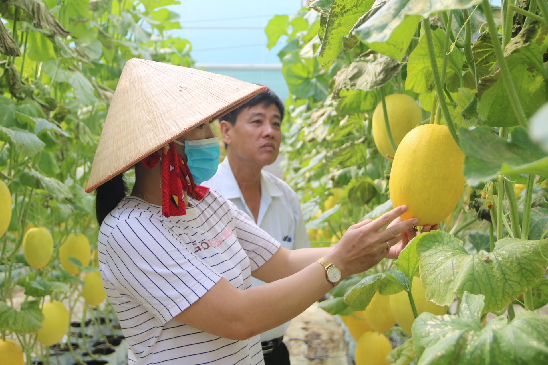 Tỉnh An Giang mới: Xây dựng nông thôn mới trên quê hương Bác Tôn có gì đặc biệt?