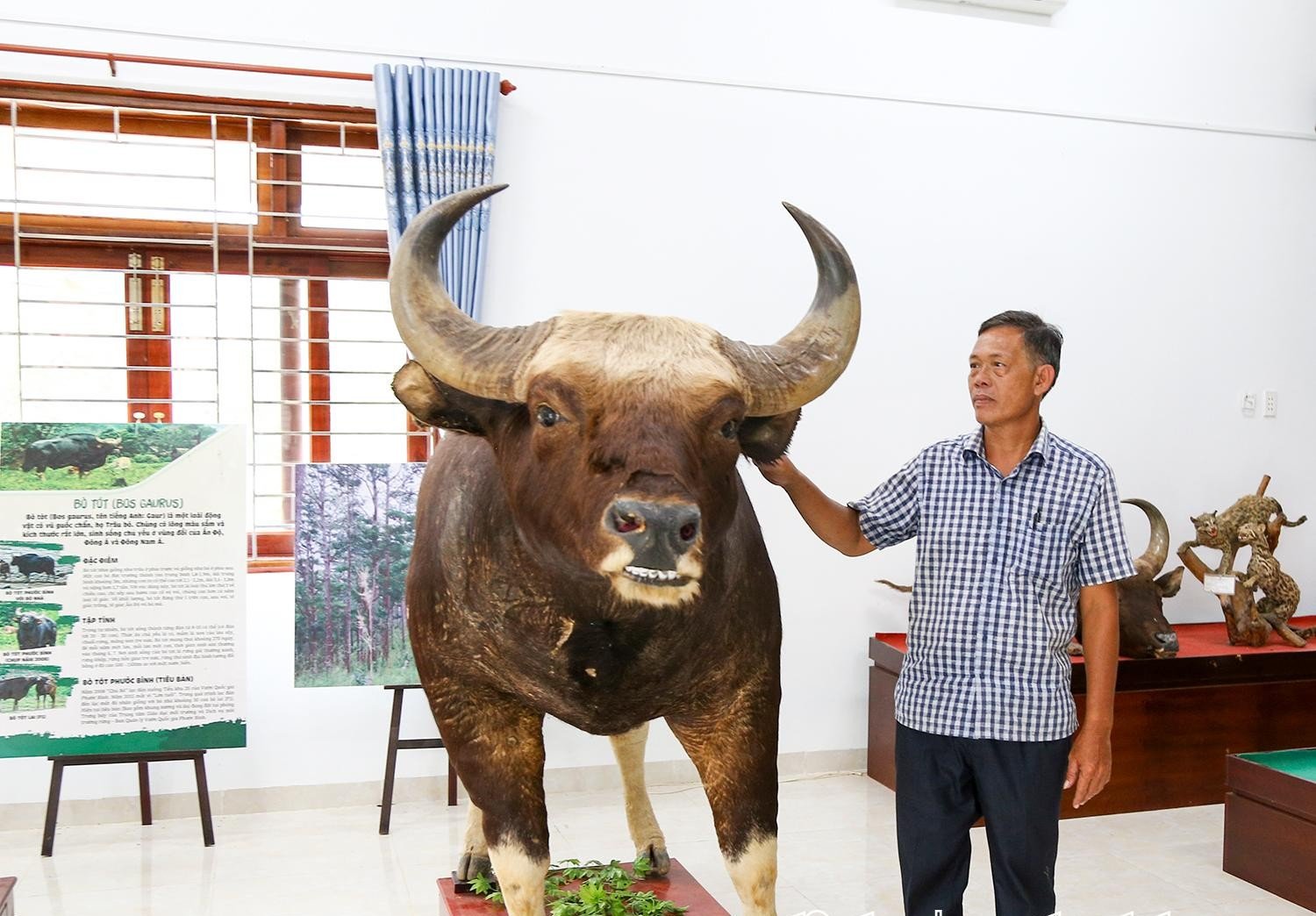 Ở tỉnh Khánh Hòa mới, một VQG muốn tiếp tục bảo tồn phát triển nguồn gen loài động vật hoang dã quý hiếm to bự này