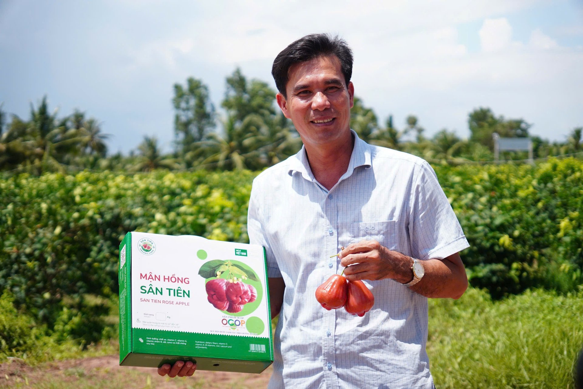 Agribank tiếp vốn cho mận hồng Sân Tiên chinh phục thị trường khó tính