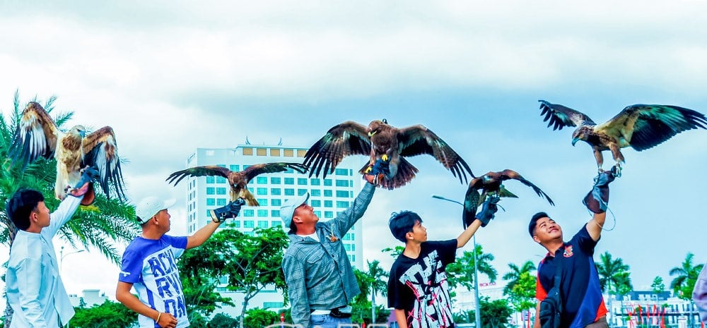 Ở tỉnh Cà Mau (mới) có 15 người đang nuôi chim đại bàng, diều hâu, chim cú mèo, chim cắt...chuyên săn 