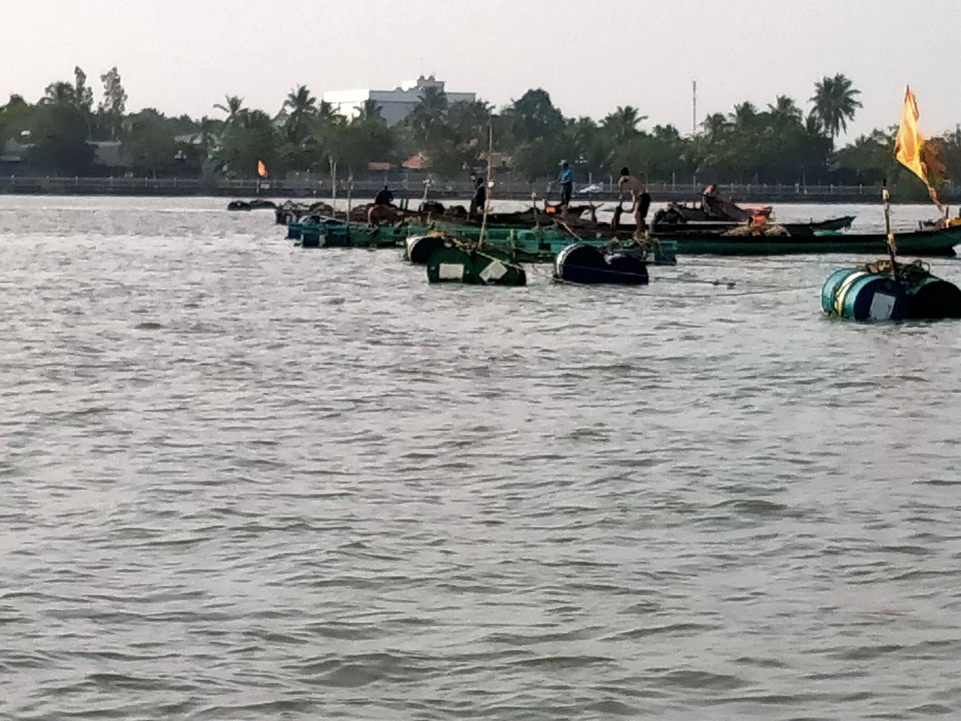 Sông lớn này ở Vĩnh Long xưa cá tôm bơi hàng đàn, nay bữa có bữa không khiến nghề gì đang bấp bênh?