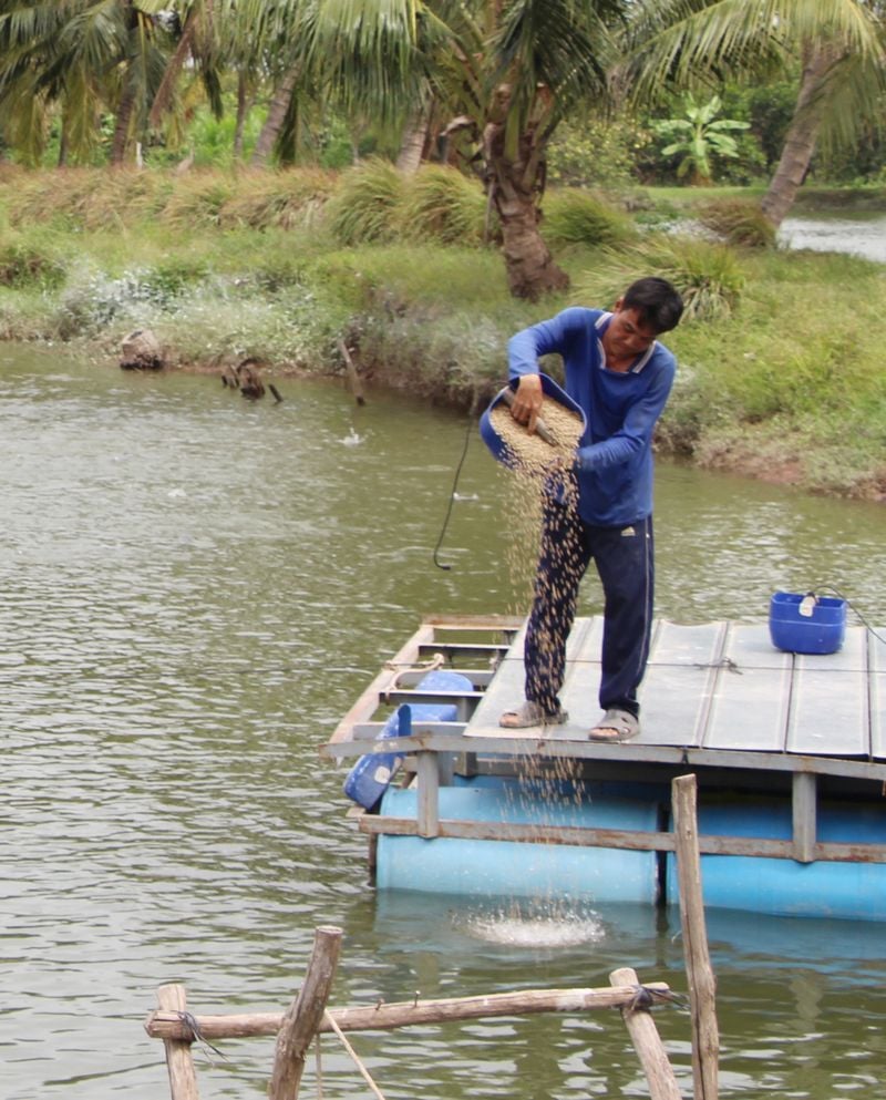 Sáp nhập tỉnh Bến Tre, Trà Vinh thành công, sản lượng thủy sản, hải sản của tỉnh Vĩnh Long đạt hơn 451.000 tấn