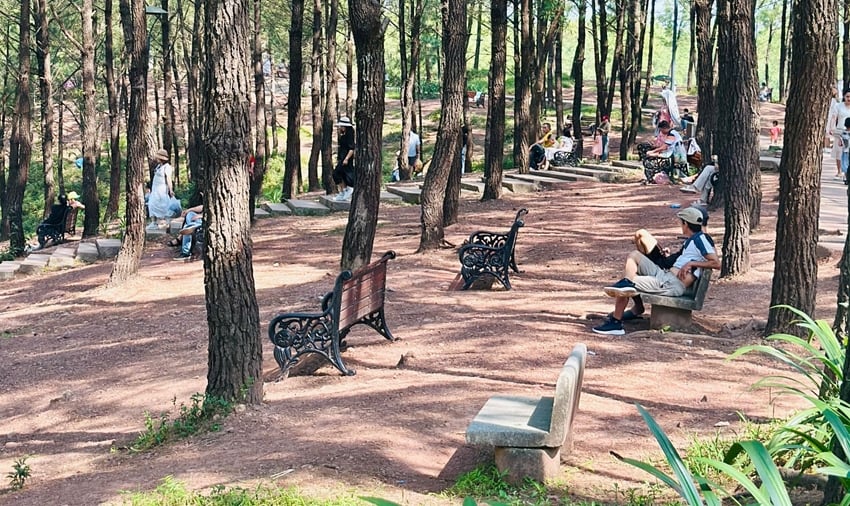 Có người ví dân Huế 'quá sung sướng' khi đang được sống mát mẻ trong một “resort khổng lồ”