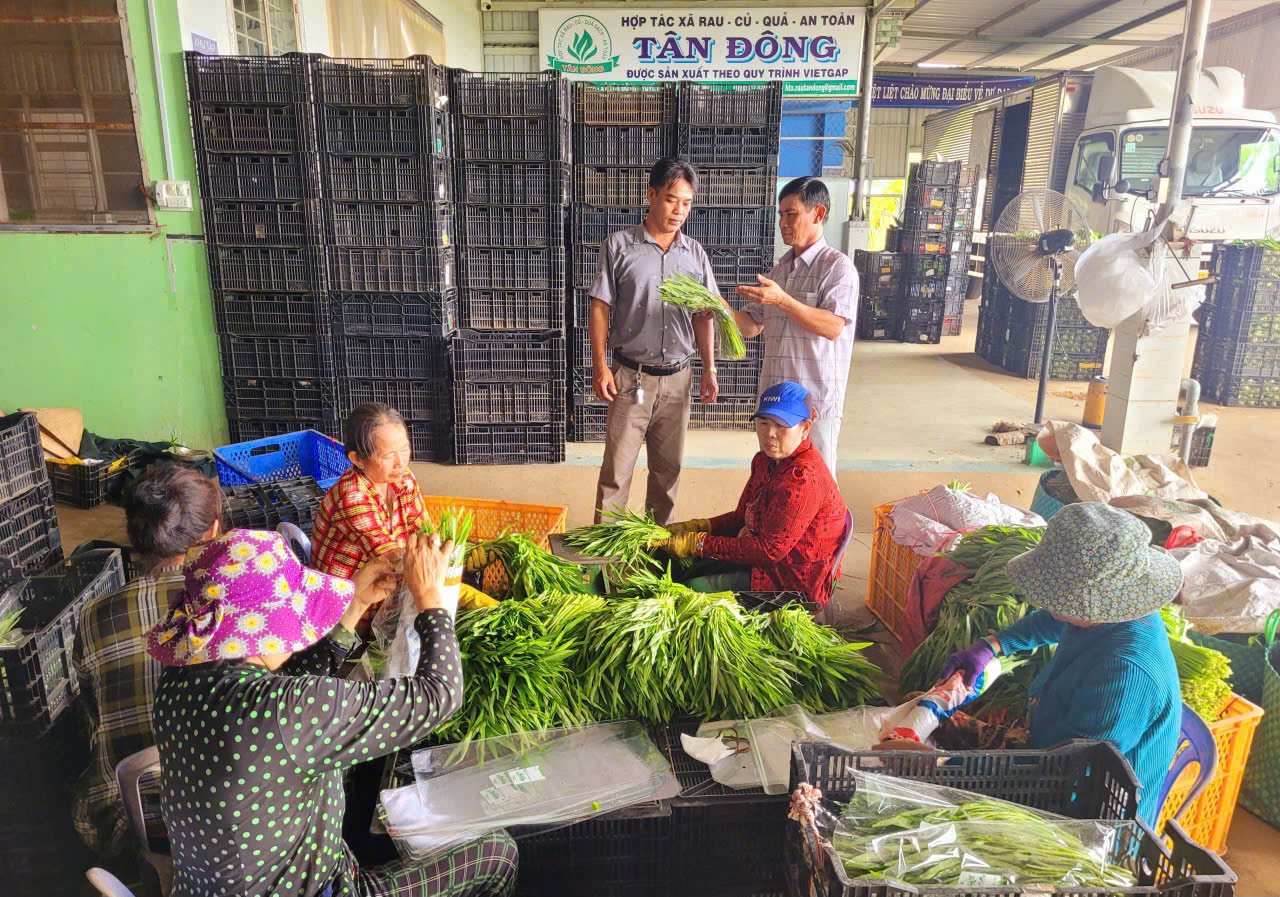 Một ông giám đốc nông dân Đồng Tháp mới, thu tiền tỷ từ mô hình sản xuất kinh doanh '3 trong 1'