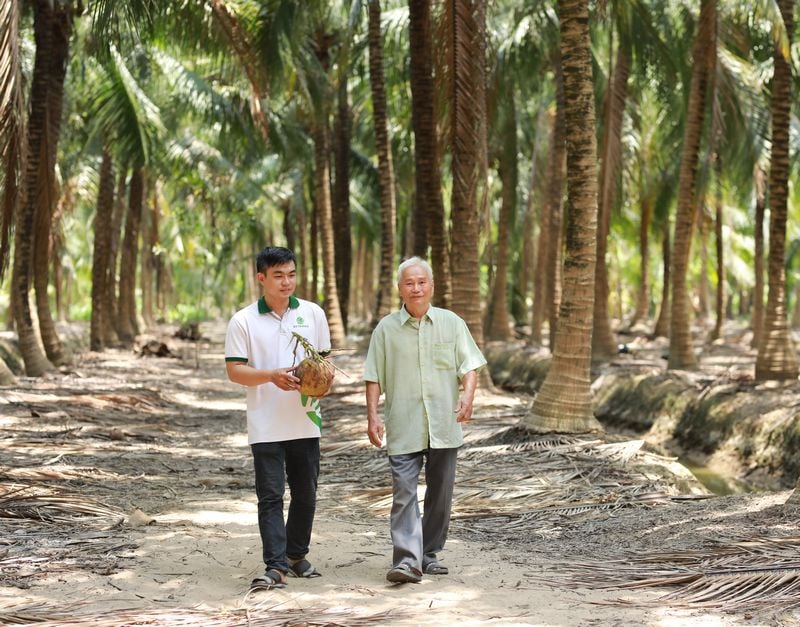 Sáp nhập thành công tỉnh Bến Tre, Trà Vinh, tỉnh Vĩnh Long có ngành hàng này đứng số 1 Việt Nam